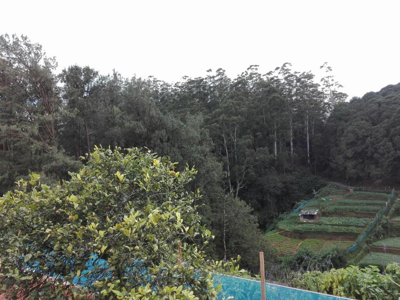 Keshiya Holiday Home Nuwara Eliya Exterior foto
